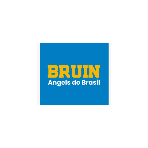 Logo Bruin Angels