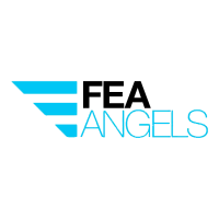 FEA Angels